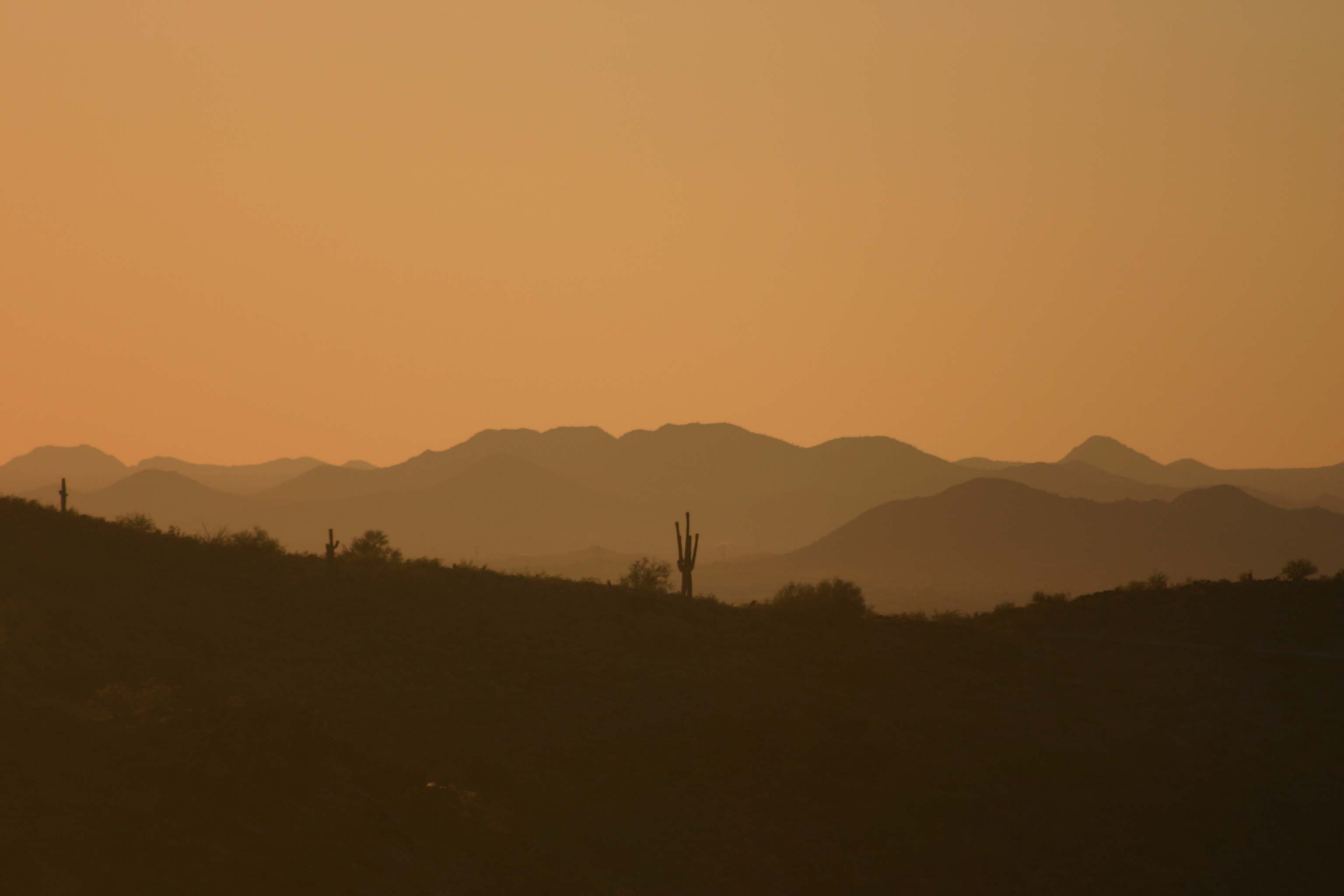 Desert scene
