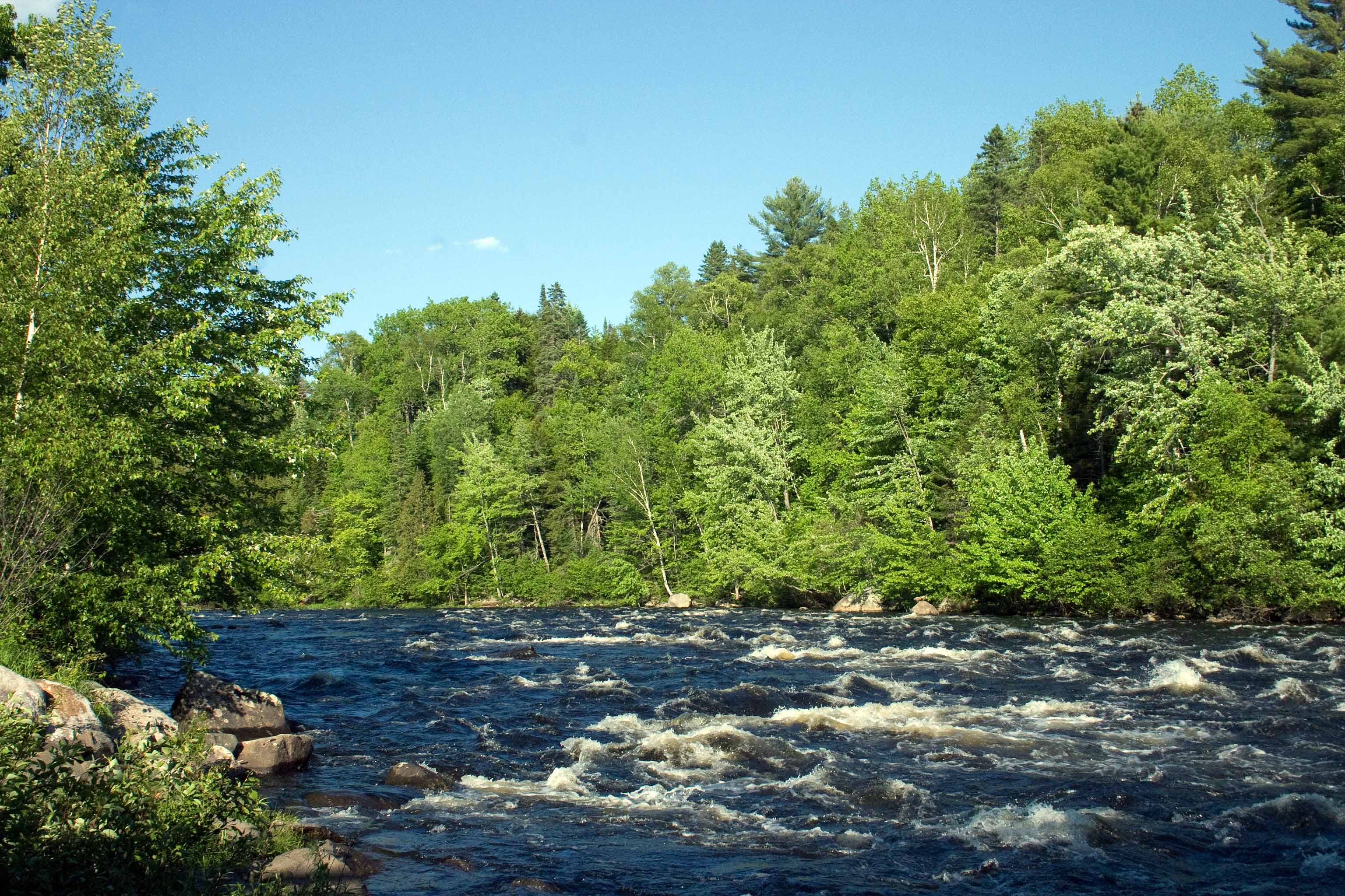 River Scene